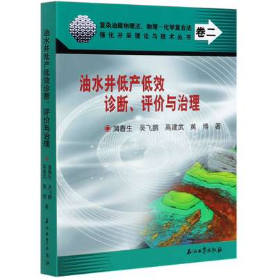 油水井低产低效诊断评价与治理/复杂油藏物理法物理-化学复合法强化开采理论与技术丛书