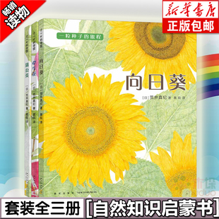 正版现货 全3册 一粒种子的旅程 牵牛花+向日葵+蒲公英 3-6-7-10岁科普百科童书幼儿绘本 大自然植物学 荒井真纪 新星出版动物植物