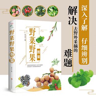 野菜野果图鉴