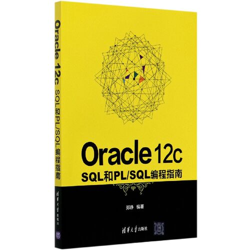 Oracle12cSQL和PL\SQL编程指南