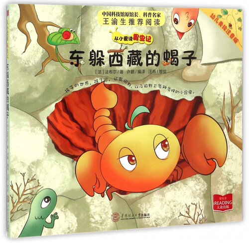 东躲西藏的蝎子(幼儿美绘注音版)/从小爱读昆虫记