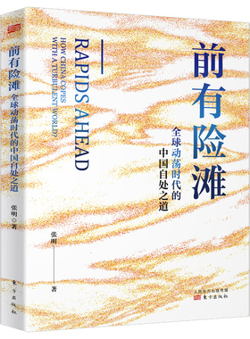 前有险滩(全球动荡时代的中国自处之道)