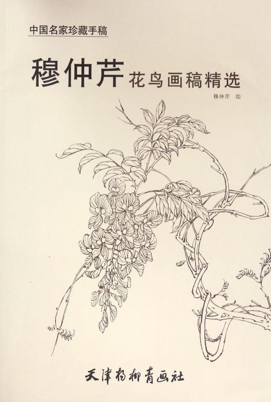 穆仲芹花鸟画稿精选/中国名家珍藏手稿