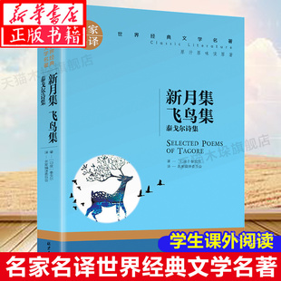 飞鸟集 泰戈尔诗选诗集初中生九年级上 经典 名家名译世界经典 青少版 新月集 文学世界名著人教版 小学生课外必读物图书籍 文学名著