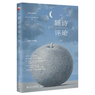 新诗评论（总第二十五辑）胡续冬纪念专辑 + 诗歌批评关键词梳理