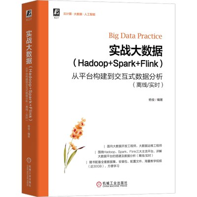 实战大数据 Hadoop Spark Flink 从平台构建到交互式数据分析 离线/实时  杨俊 附赠30G教学视频