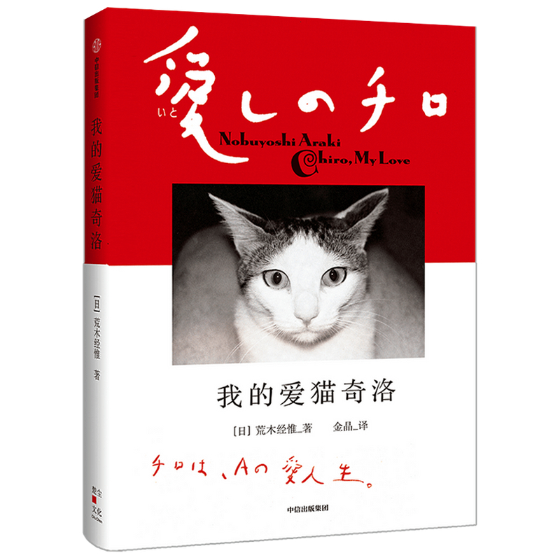 我的爱猫奇洛 荒木经惟 著 荒木阳子 摄影 猫咪 爱情 思念 宠物 中信出版社图书 正版