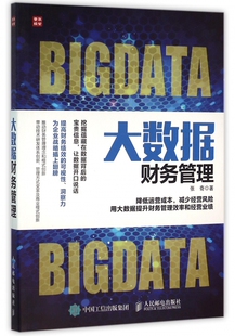 大数据财务管理