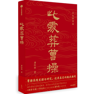 此处葬曹操  考古大咖唐际根写给大众的通识读本