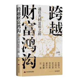 正版书 跨越财富鸿沟:通往共同富裕之路 沙烨著 张维为 王绍光 史正富 李世默 翟东升 范勇鹏 沈逸推 荐 经济作品书籍新华书店包邮