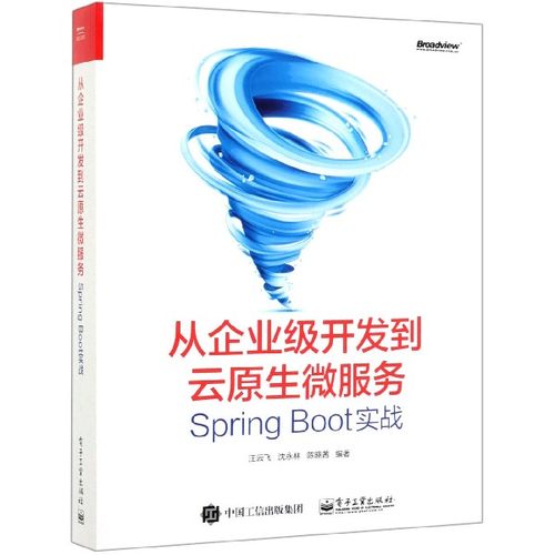 从企业级开发到云原生微服务 Spring Boot实战 汪云飞,沈永林,陈晓茜 正版书籍