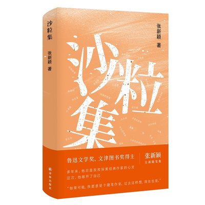 沙粒集（鲁迅文学奖、文津图书奖得主张新颖全新随笔集，在平常的经验中收集微不足道的沙粒与稍纵即逝的光。）