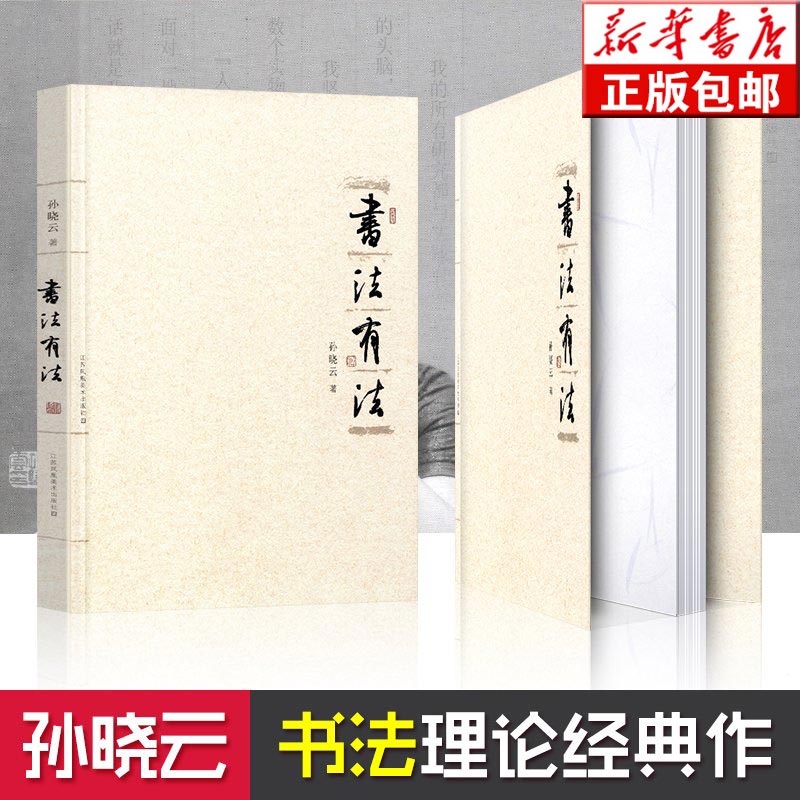 【现货包邮】书法有法 孙晓云著 中国书协 孙晓云书法理论作品 中国传世书法技法 书法名家名品经典书法文化大观分析与训练典籍