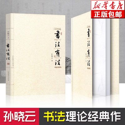 【现货包邮】书法有法 孙晓云著 中国书协 孙晓云书法理论作品 中国传世书法技法 书法名家名品经典书法文化大观分析与训练典籍