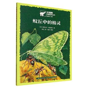 蟻丘中 精靈