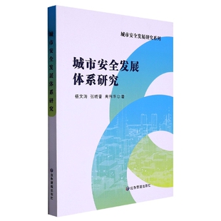 城市安全发展体系研究