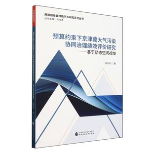 预算约束下京津冀大气污染协同治理绩效评价研究基于动态空间视域