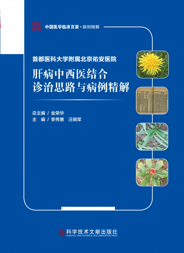 首都医科大学附属北京佑安医院肝病中西医结合诊治思路与病例精解/中国医学临床百家