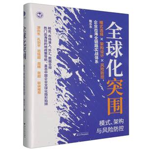 全球化突围(模式架构与风险防控)(精)