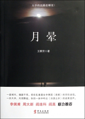 月晕 王群芳 正版书籍小说畅销书