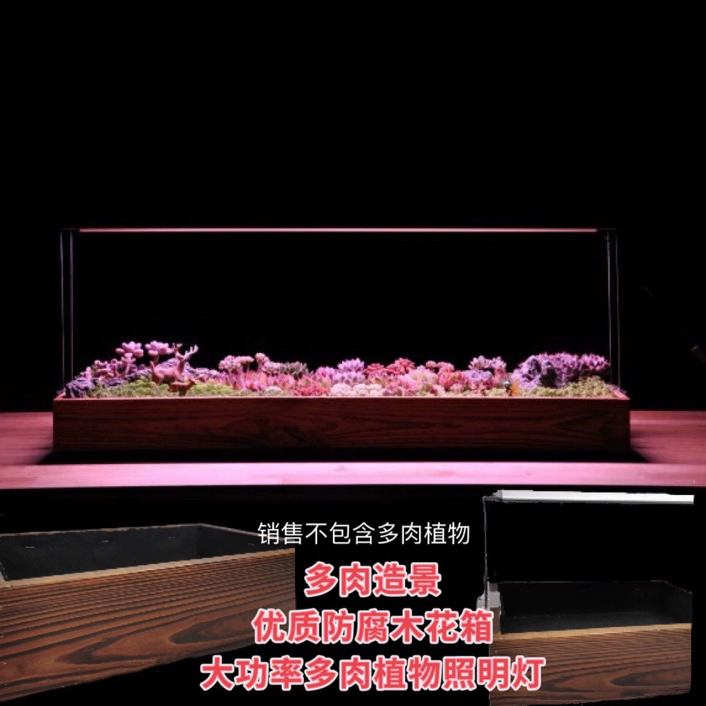 多肉灯造景拼盘防腐木花盆长条大口径仙人掌球微景木盒生石花肉锥
