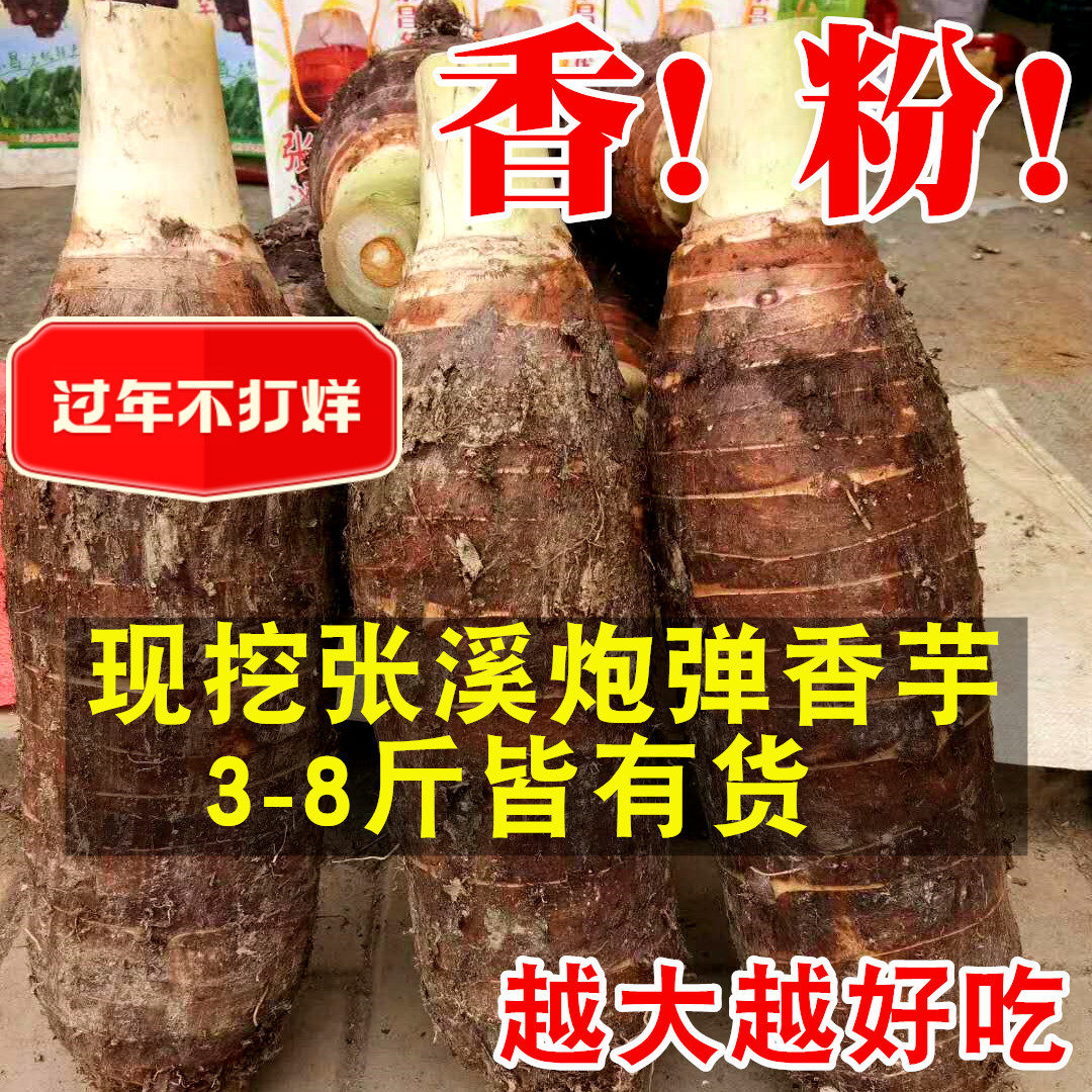新鲜张溪炮弹芋头香粉糯现挖大香芋芋艿韶关特产乐昌农家新鲜蔬菜