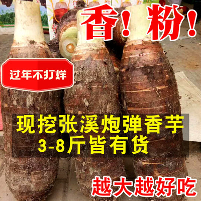 新鲜张溪炮弹芋头香粉糯现挖大香芋芋艿韶关特产乐昌农家新鲜蔬菜
