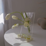Стеклянная фазовая рама Niceone Huap Vases Korean INS, северная европейская спальня гостиная гостиная гостиная.