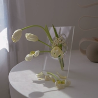 Стеклянная фазовая рама Niceone Huap Vases Korean INS, северная европейская спальня гостиная гостиная гостиная.