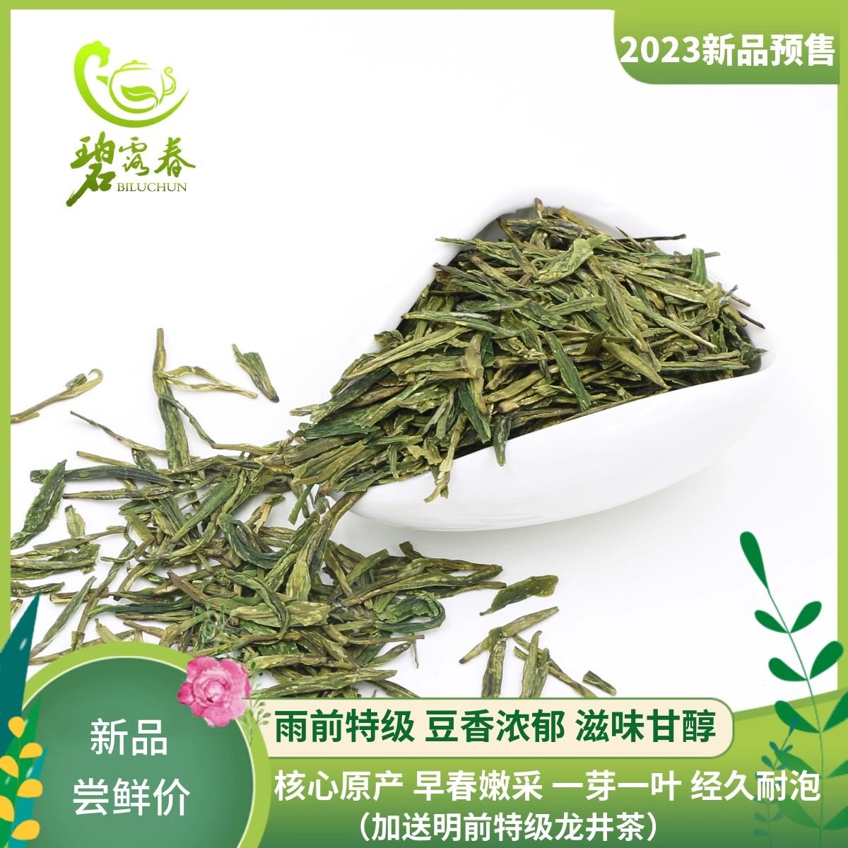 绿茶2025新茶龙井43号雨前特级甘肃陇南文县碧口高山云雾250g春茶