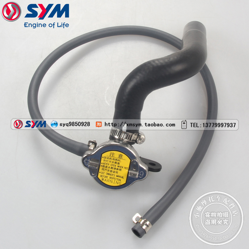 三阳机车九妹Z300加水口总成