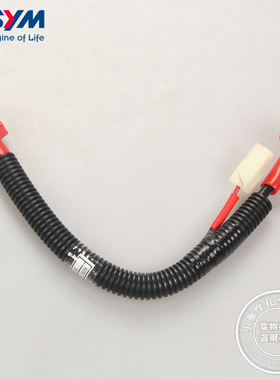 SYM 厦杏 三阳机车 XS175 NH T200 拉力车 正极线 电源启动线