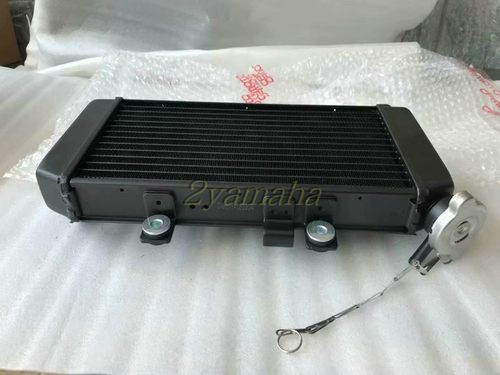 春风250nk散热器CF250水箱