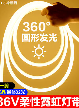 低压36v圆形灯带led超亮建筑工地隧道地下室工程施工防水灯条白光