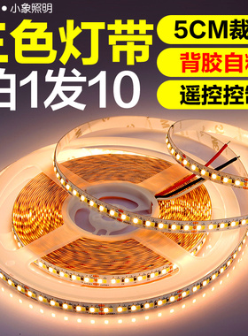 低压24V灯带led三色变色家用柜台装饰双色调光软灯条超亮霓虹灯线