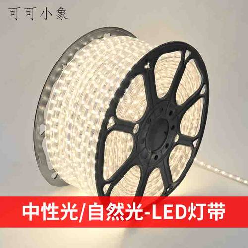 中性光自然光小象led灯带5050