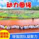 动力绳拓展绳户外大型活动学校团建教具儿童游戏道具感统训练器材