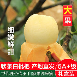 正宗软条白沙枇杷鲜果塘栖琵琶象山新桥高湾当季水果5斤礼盒装
