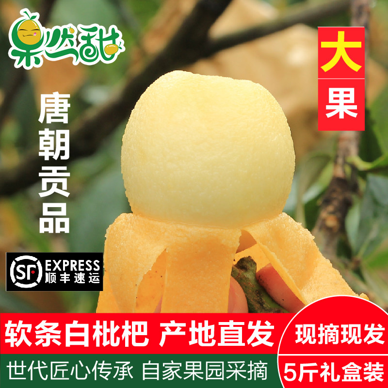 象山新桥高湾软条白沙枇杷鲜果胜塘栖琵琶 当季现摘水果5斤礼盒装