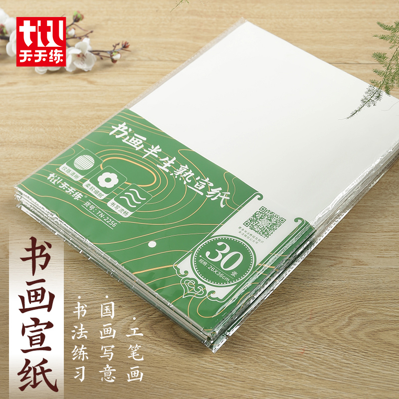 天天练8k书画宣纸 学生半生熟四尺8开生宣熟宣国画工笔画A4绘画纸