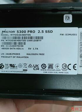 议价直拍不发:镁光 5300 PRO 2.5 480g