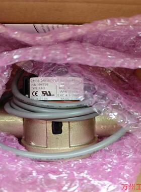 议价直拍不发:GEMS 水流量计 194759议价