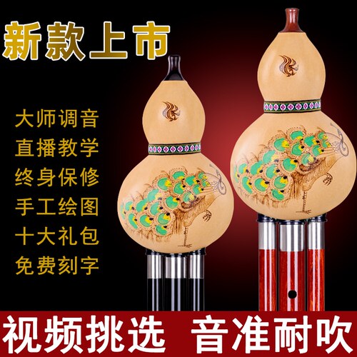 孔雀河红木黑檀木葫芦丝成人初学