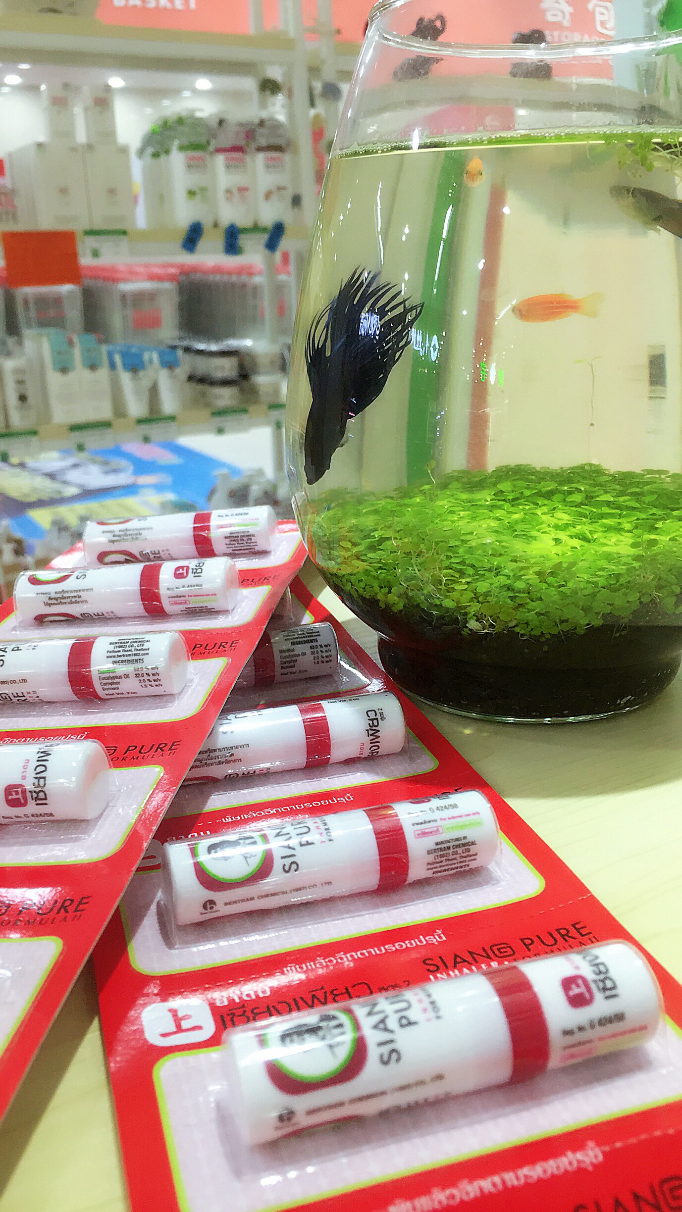 泰国八仙筒加强版上标薄荷鼻通清凉提神醒脑棒