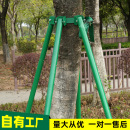 支撑架镀锌钢管树木园林绿化大树防风原色苗木固定器撑树杉木支撑