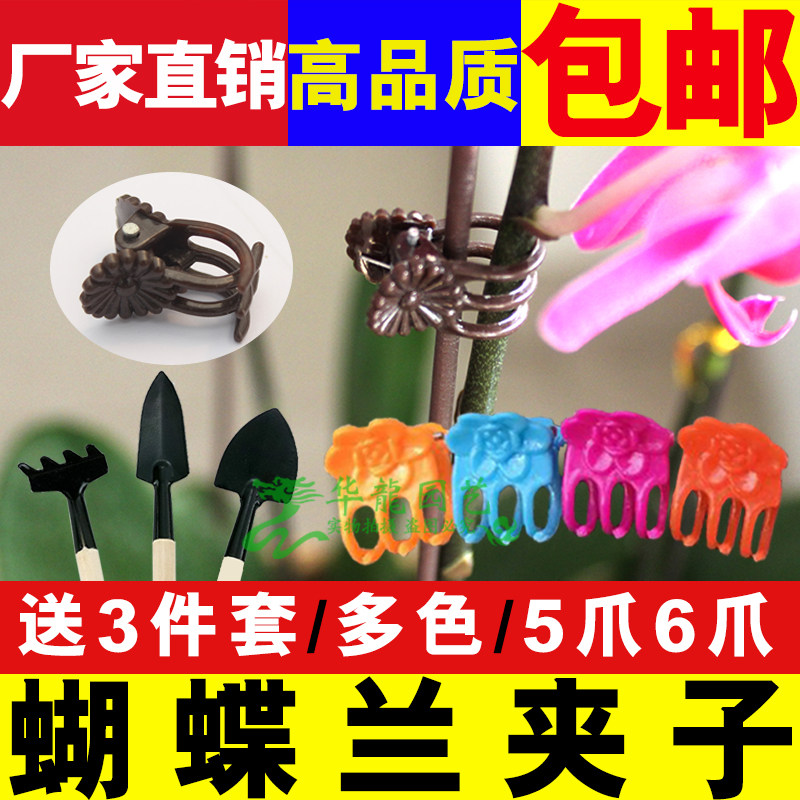 蝴蝶兰夹子塑料5爪蝴蝶兰花夹铁线蝴蝶兰种植夹子盆景造型彩色夹
