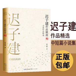 雪窗帘 迟子建作品精选正版 逝川一匹马两个人 名家作品精选迟子建中短篇小说合集茅盾文学奖获奖作家青少经典 现代文学书籍 包邮
