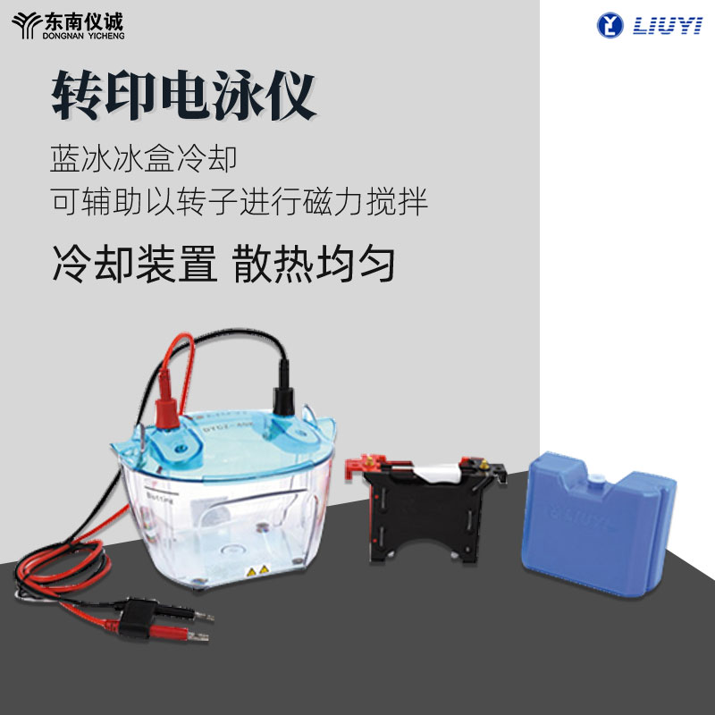 六一轉(zhuǎn)印電泳儀DYCZ-40F實驗室蛋白分子轉(zhuǎn)印電泳槽蛋白凝膠電泳儀