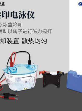 六一转印电泳仪DYCZ-40F实验室蛋白分子转印电泳槽蛋白凝胶电泳仪