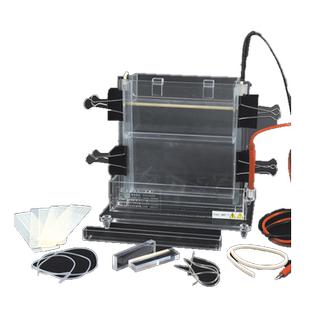 六一单垂直电泳仪DYCZ-22A实验室小型蛋白凝胶电泳DYCZ-23A电泳槽